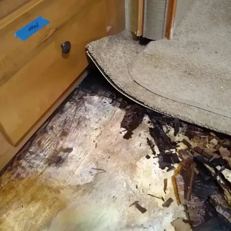 Wood Floor Water Damage in Mart, TX